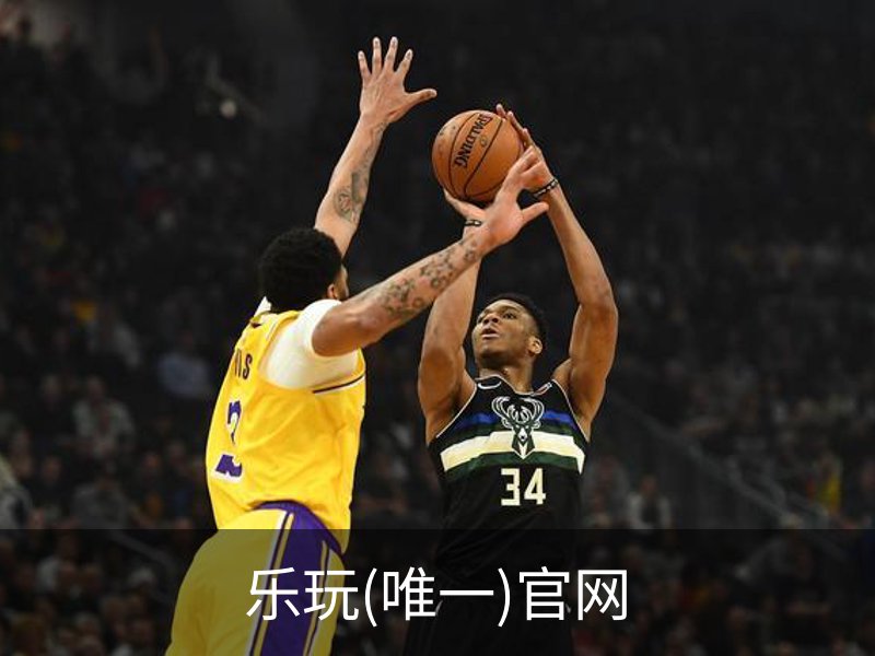 乐玩(唯一)官网概况