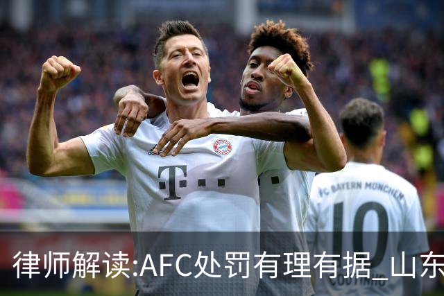 律师解读:AFC处罚有理有据 山东基本确定无缘亚冠